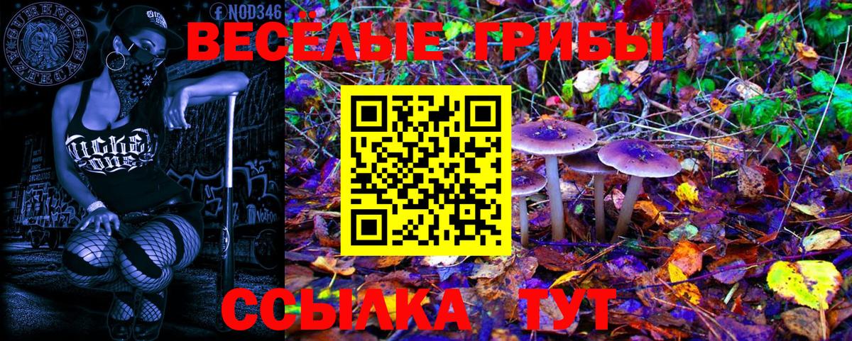 Галлюциногенные грибы мухоморы  Псилоцибиновые грибы Magic Shrooms  Вход с VPN  Кувандык 